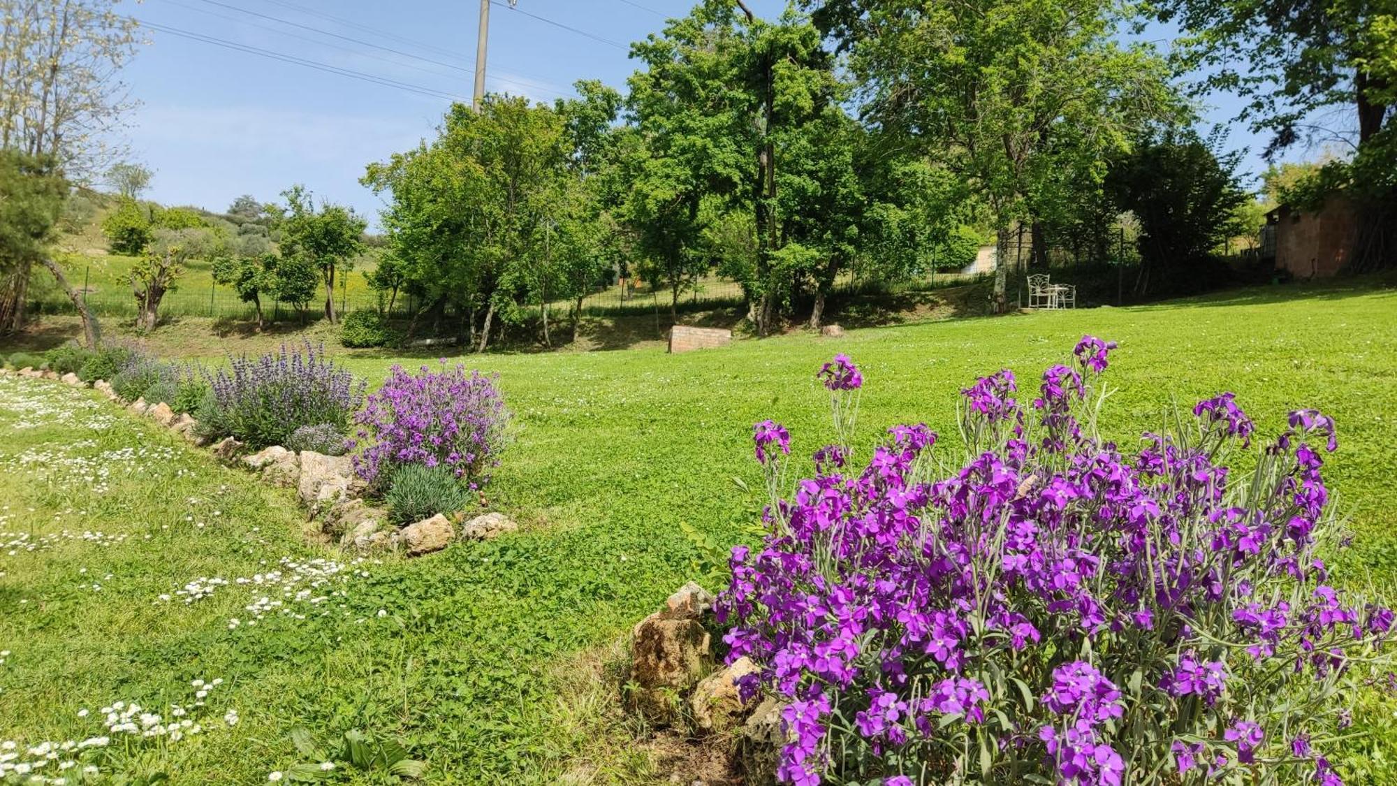 Agriturismo Le Grondaie Сиена Экстерьер фото